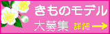 ����Υ�ǥ��罸